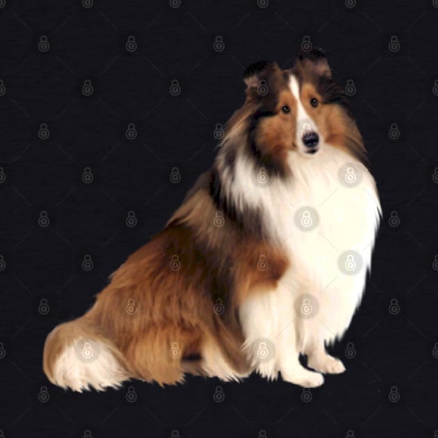 Shetland Sheepdog (#7) by Dogs Galore and More